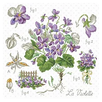LBP V. Enginger ETVI
