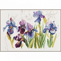Lanarte PN-0008027