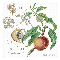 LBP V. Enginger EPE