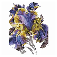 Ameli Stitch – Ирис Ночное танго