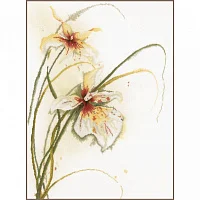Lanarte PN-0008014