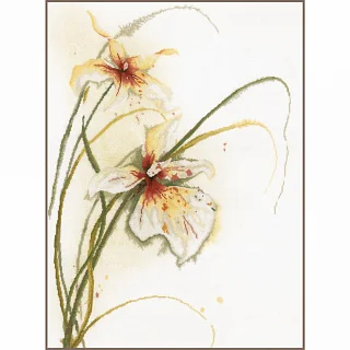 Lanarte PN-0008014