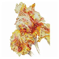 Ameli Stitch – Ирис Поцелуй дождя
