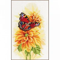 Lanarte PN-0190703