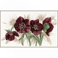 Lanarte PN-0021206
