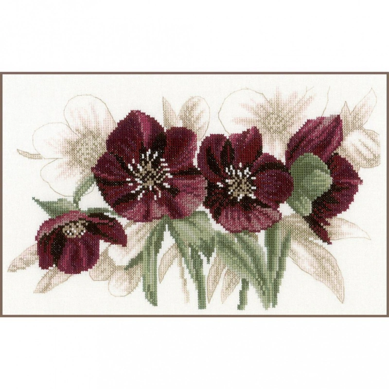 Lanarte PN-0021206