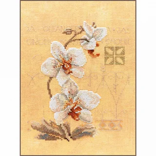 Lanarte PN-0008008