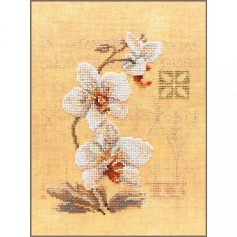 Lanarte PN-0008008