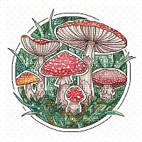 АС Алисы Окнеас – Мухоморчики