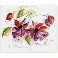 Lanarte PN-0008026