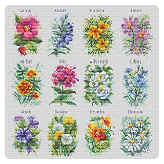 Green Terrace – Wildflower Sampler