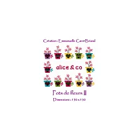 Alice and Co JPF02