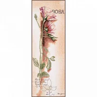 Lanarte PN-0008050
