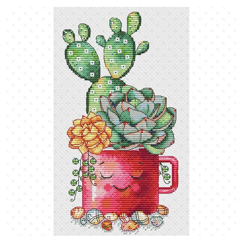 Green Terrace – Cactus and Succulents