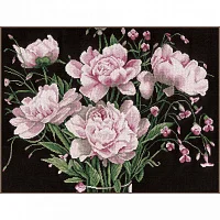 Lanarte PN-0021224