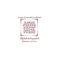Alice and Co JAJ01