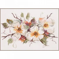 Lanarte PN-0008051