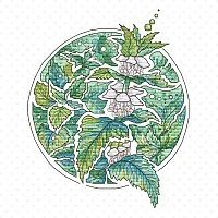 АС Алисы Окнеас – Крапива