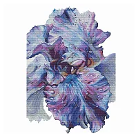 Ameli Stitch – Ирис Подарок