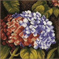 Lanarte PN-0144514